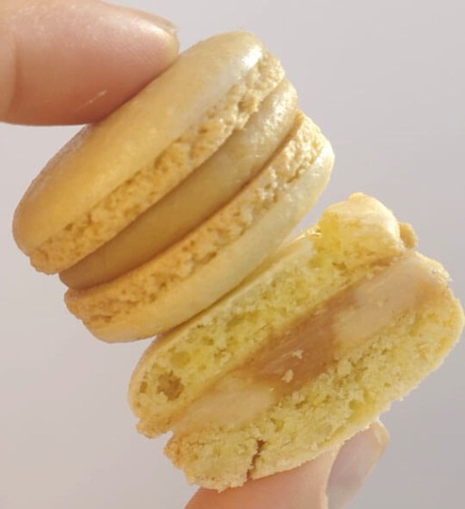 macaron donde comprar